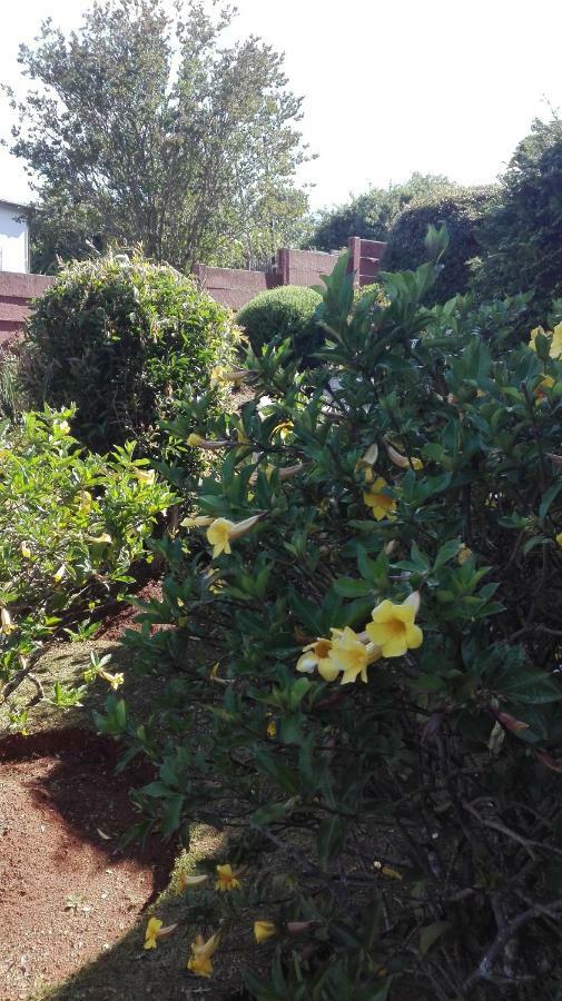 Hamba Kancane Ma-Africa Guest House Graskop Exterior photo